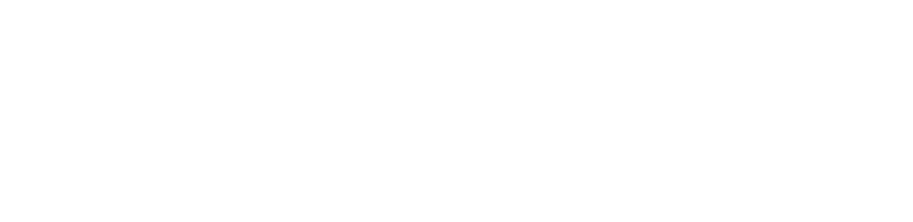 FIAT Professional